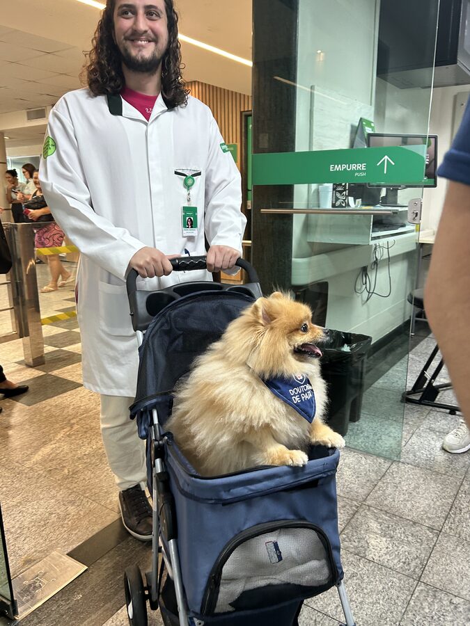 Visita