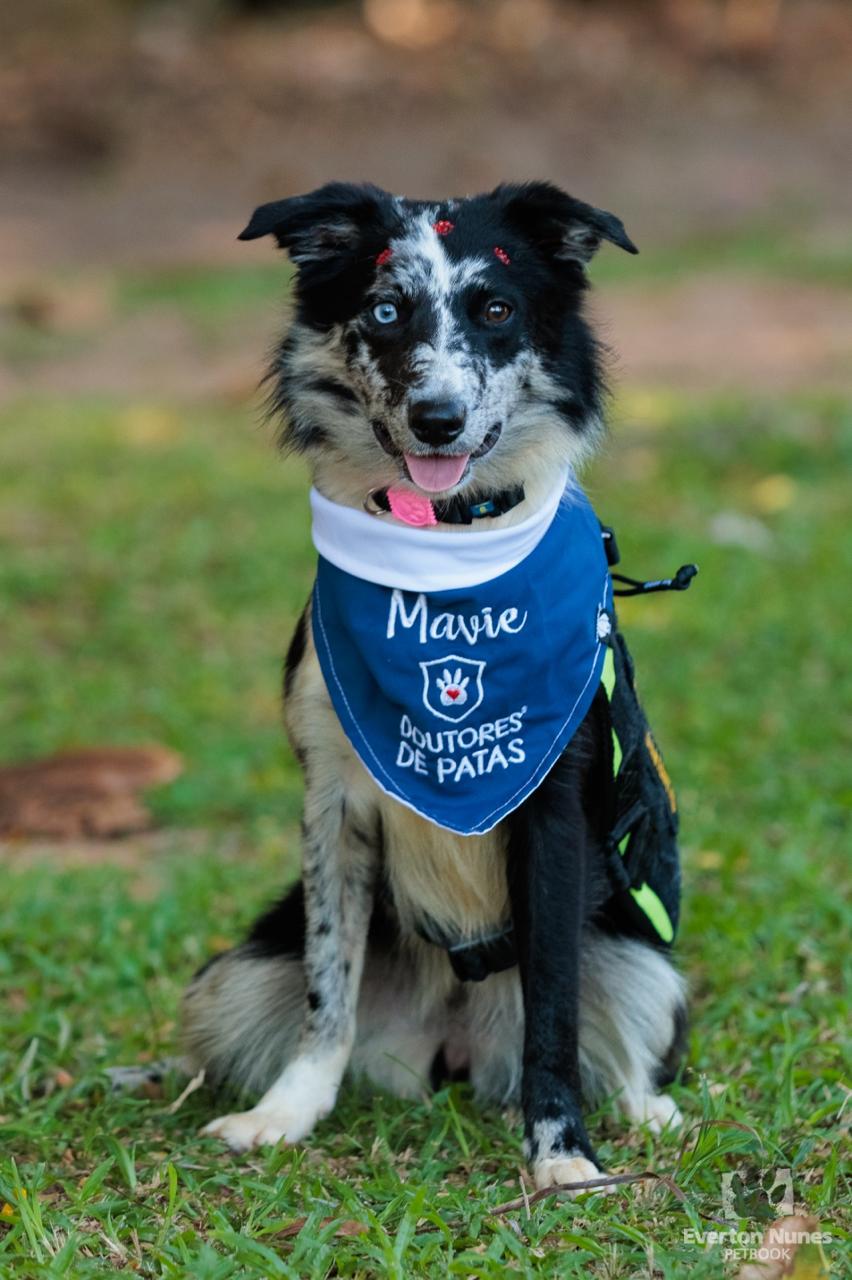 Mavie