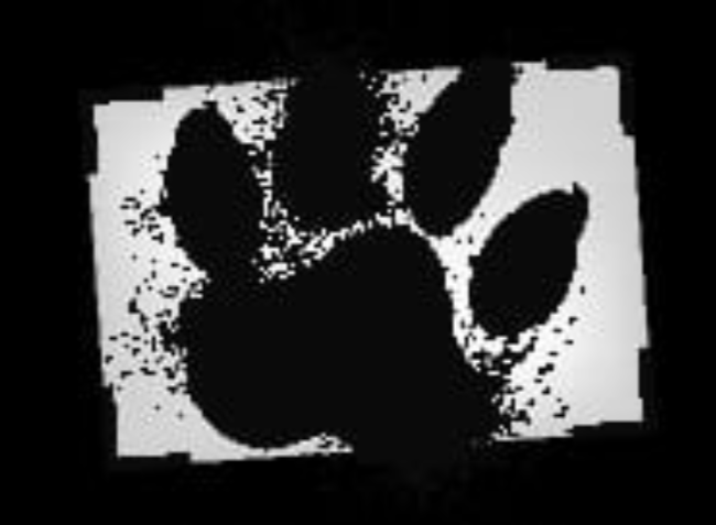 Everton Nunes Petbook